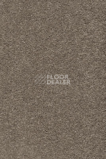 Ковролин AW Vivendi Punch 37 фото 1 | FLOORDEALER